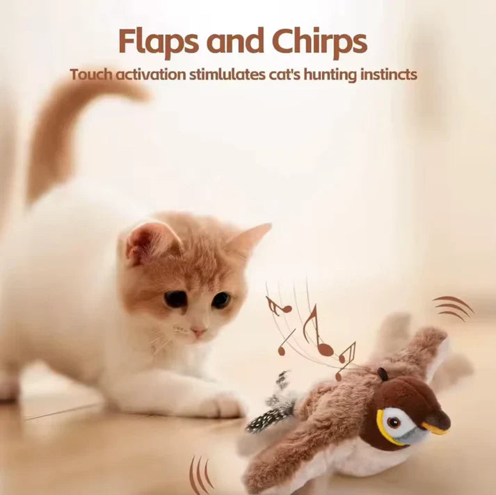 Cat products