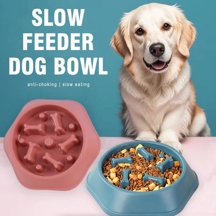 Slow Feeder Dog Bowl