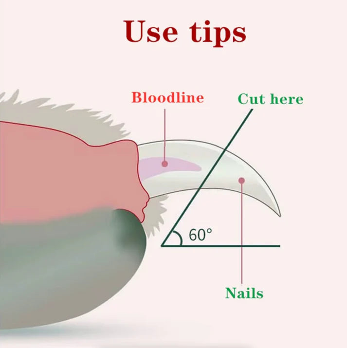 Professional Catnail Clipper
