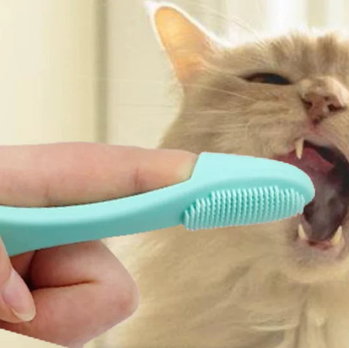 Cat Brush Soft Silicone Grooming