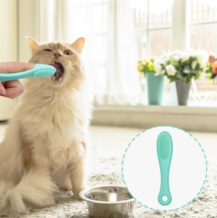 Cat Brush Soft Silicone Grooming